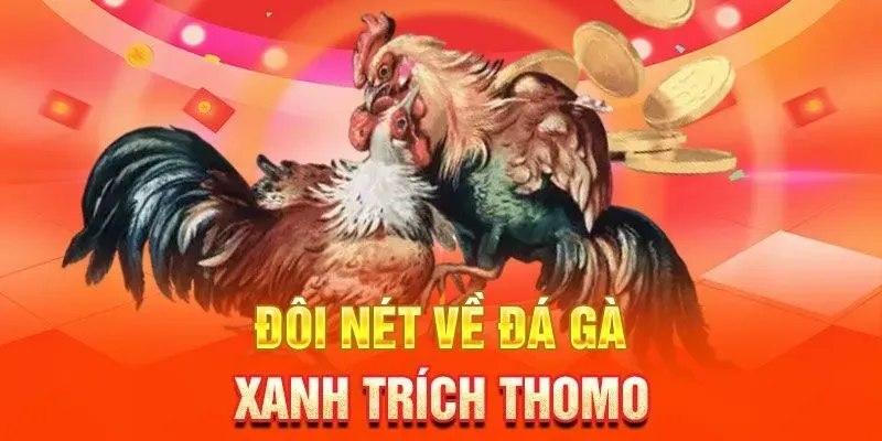 Đá gà Thomo Campuchia là trường gà hợp pháp quy mô lớn